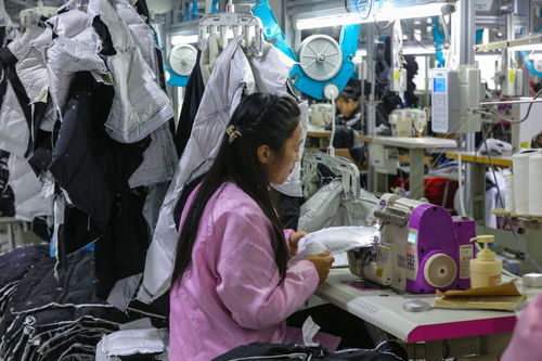 光山 冬季羽絨產(chǎn)品產(chǎn)銷(xiāo)正旺